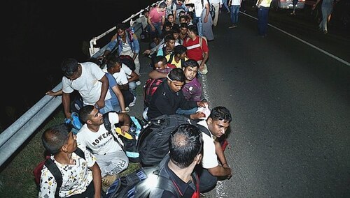 Imigranci, zdjęcie podglądowe