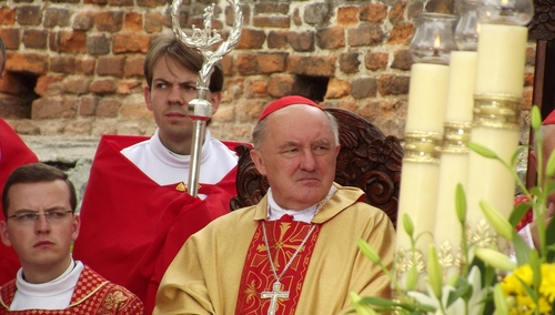 Kard. Kazimierz Nycz