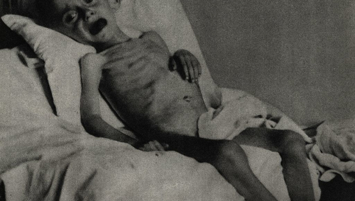 Dziecko Zamojszczyzny. Obóz w Lublinie na ul. Krochmalnej