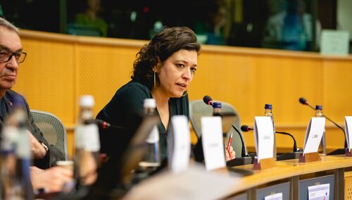 Livia Spera, Sekretarz Generalna Europejskiej Federacji Pracowników Transportu (ETF)