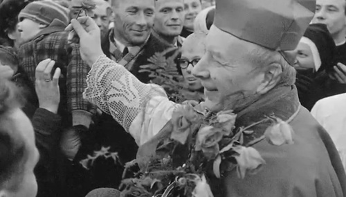 [Tylko u nas] Agnieszka Żurek: beatyfikacja Prymasa - nadzieja w Jasnej Górze!