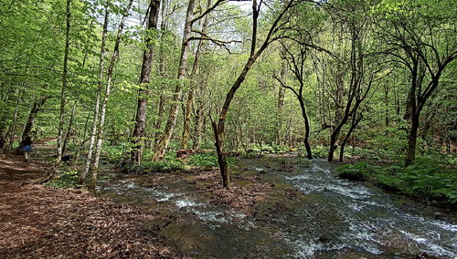 Małopolskie: Ojciec porzucił dzieci w lesie. Znalazł je policjant po służbie