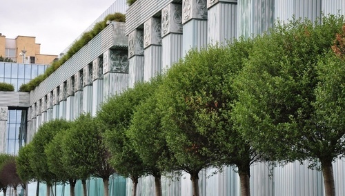 „Wypada tylko załamać ręce”. Mocne słowa szefa gabinetu prezydenta