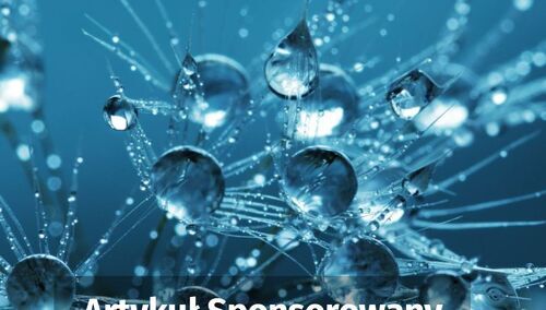 Nauka: zdjęcie poglądowe