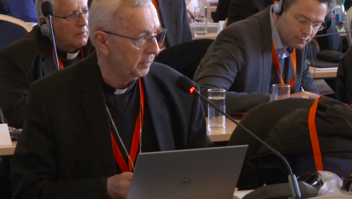 Zgromadzenie synodalne w Pradze. Abp Stanisław Gądecki