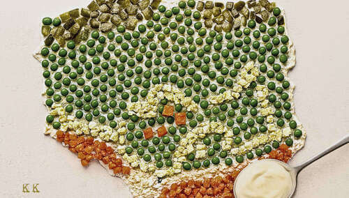 Kontury mapy Polski ułożona z fragmentów warzyw z łyżeczką z majonezem