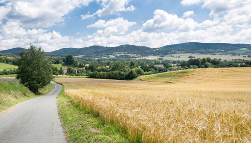 Wzgórza Rogówki, na wschód od Kotliny Kłodzkiej.