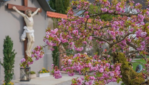 Krzyż, zdjęcie poglądowe