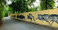 Mural autorstwa Jerzego Wołoszynowicza na ogrodzeniu zoo