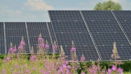 Panele słoneczne, zdjęcie podglądowe