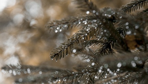 Deszcz, zdjęcie poglądowe