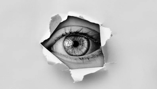 Oko. Ilustracja poglądowa