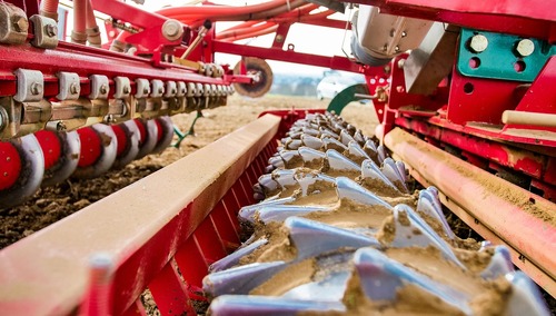 Brona - zdjęcie poglądowe