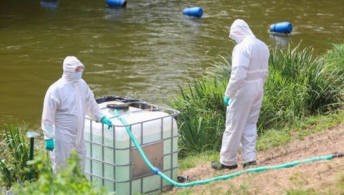 Eksperyment realizowany przez Ministerstwo Klimatu i Środowiska nad rzeką Kłodnicą przy Małej Elektrowni Wodnej Pławniowice