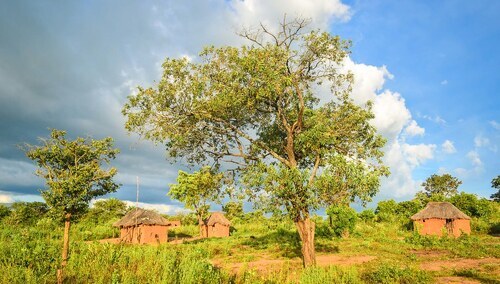 zdjęcie ilustracyjne Angola