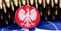 Amunicja oraz symbole Polski i NATO
