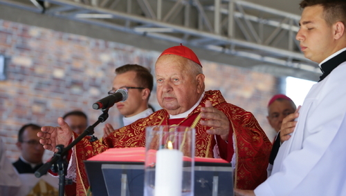 kard. Stanisław Dziwisz