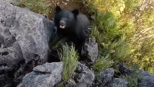 Mężczyzna po całej sytuacji postanowił powrócić ze szczytu inną drogą