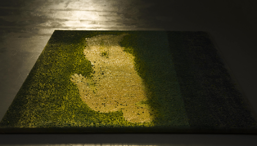 Praca Piotra Trusika