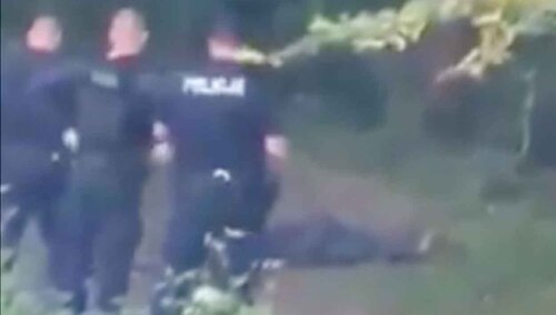 10-sekundowe nagranie, które obiegło sieć