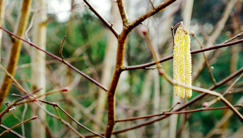 Graf Zero: "To tylko fikcja" - felieton