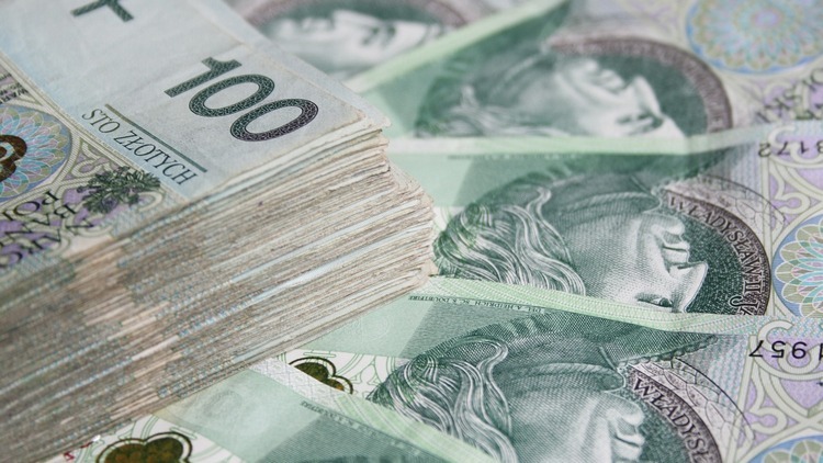 zdjęcie ilustracyjne