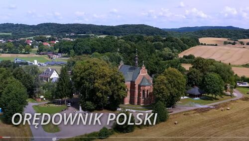 Kadr filmu "Orędownik Polski"