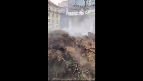 Rolnicy rozrzucili obornik przed UW