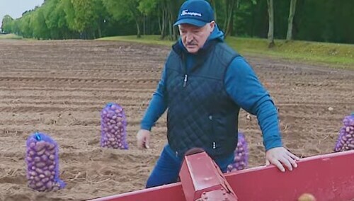 „Ziemniak dance”. Łukaszenka wziął udział w teledysku nastoletniej białoruskiej gwiazdy