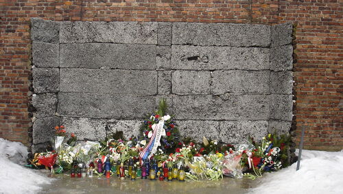 Ściana Straceń, Auschwitz