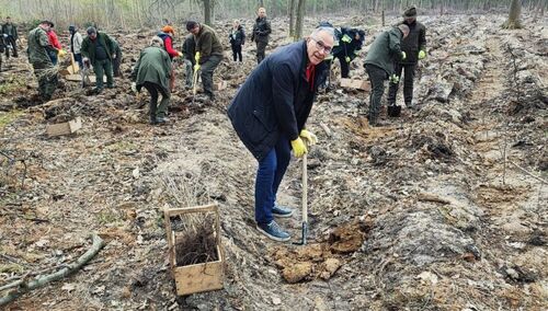 Dolnośląska Solidarność posadziła drzewa