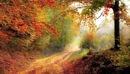 Jesień. Grafika poglądowa