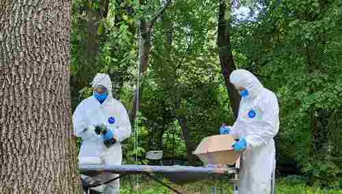 Prace w Puźnikach na Ukrainie