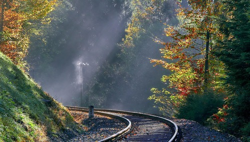 Tory / zdjęcie poglądowe