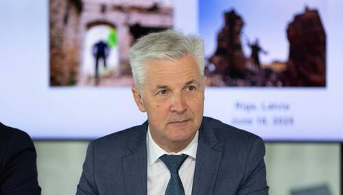 Dr Artis Pabriks, były minister obrony Łotwy