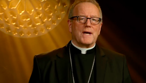 Bp Robert Barron