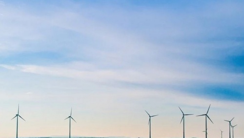 [Felieton "TS"] Jakub Zgierski: Zielona droga do niewoli