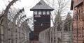 Międzynarodowy Dzień Pamięci o Ofiarach Holokaustu. Teren byłego obozu Auschwitz w Oświęcimiu