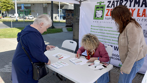 Akcja referendalna ws. Zielonego Ładu