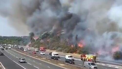 [video] "Sytuacja jest krytyczna". Liczne pożary na obrzeżach Londynu
