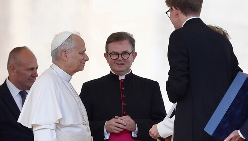 Spotkanie Leona XIV z przedstawicielami polskich fundacji