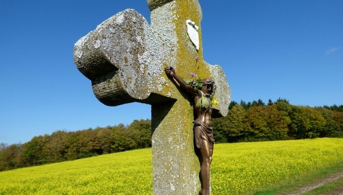 krzyż, pole rosnącej gorczycy