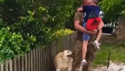 Syn wita wracającego z frontu ojca