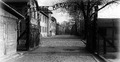 Brama KL Auschwitz
