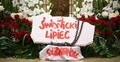 Świdnicki Lipiec - zdjęcie poglądowe