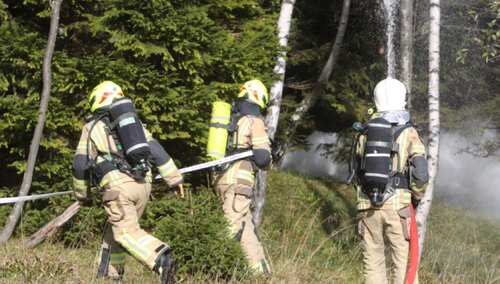 Pilne! Płonie las w pobliżu Puszczy Białowieskiej / Zdjęcie ilustracyjne