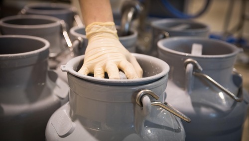 Mleczarnia - zdjęcie poglądowe