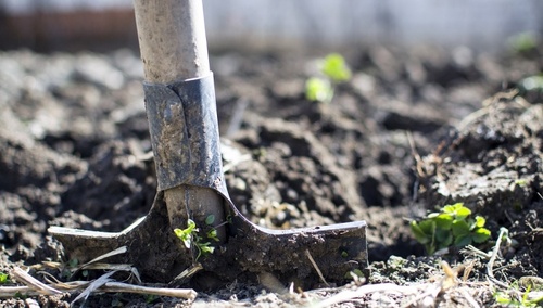 Prace ogrodowe / zdjęcie poglądowe
