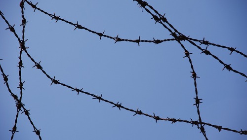 zdjęcie ilustracyjne