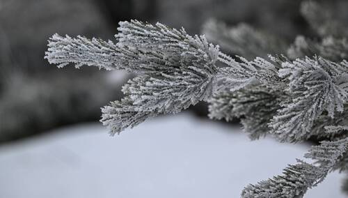 Bieszczady, zima, zdjęcie poglądowe